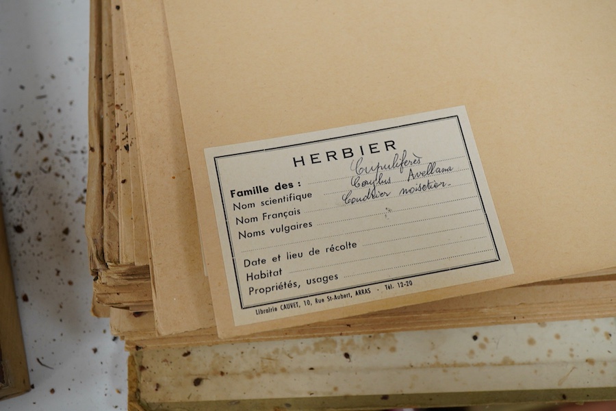 A collection of French mounted herbarium pressed plant specimens, some with labels verso